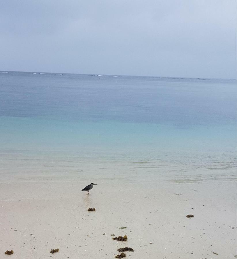 Dzama Hotel Grand Bay Luaran gambar